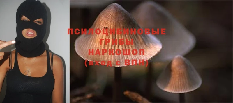 Псилоцибиновые грибы MAGIC MUSHROOMS  где купить наркоту  Советская Гавань 